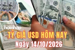 Tỷ giá USD hôm nay 14/10 /2026: Đồng USD quay đầu giảm