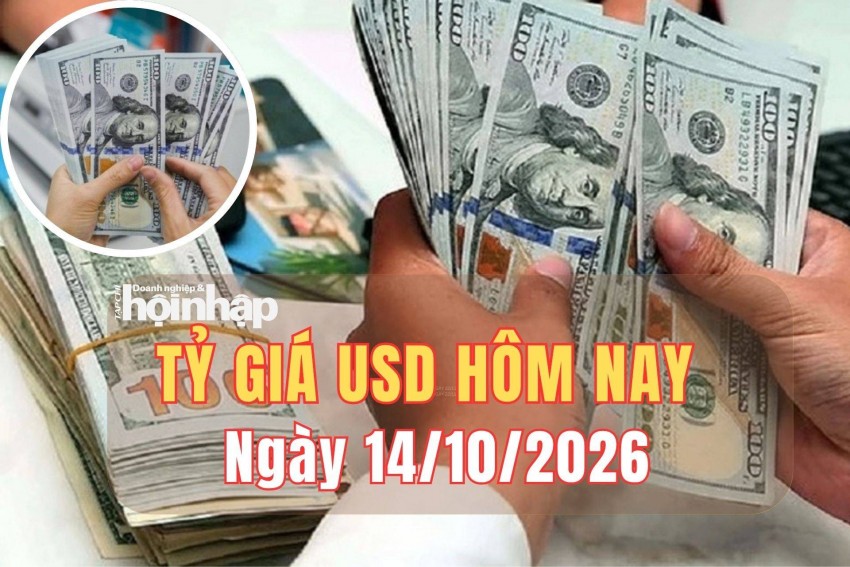 tỷ giá usd