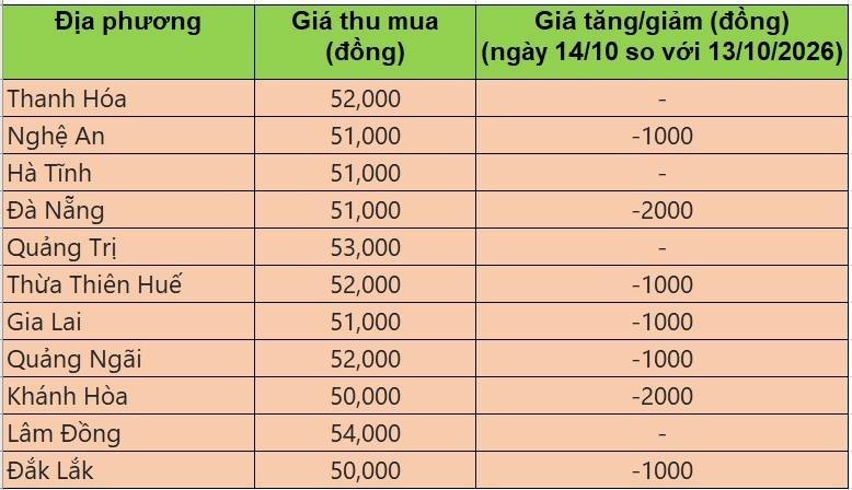 Bảng giá heo hơi tại miền Trung - Tây Nguyên hôm nay 14/10/2026