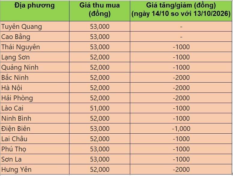 Bảng giá heo hơi tại miền Bắc hôm nay 14/10/2026