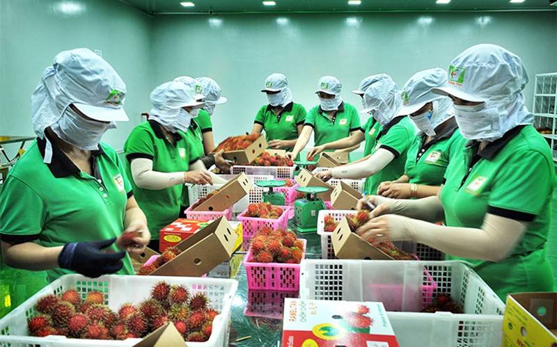 Đóng gói chôm chôm xuất khẩu tại Công ty TNHH Xuất, nhập khẩu trái cây Chánh Thu, huyện Chợ Lách, tỉnh Bến Tre - Ảnh: https://baoangiang.com.vn