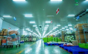 Chuỗi lạnh tiêu chuẩn quyết định sức cạnh tranh của rau quả Việt