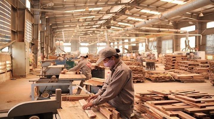 Mở thị trường gỗ nội địa từ tiêu chuẩn mua sắm xanh