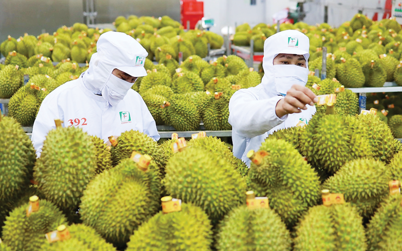 Xuất khẩu rau quả tăng gần 20%, kỳ vọng cán mốc 10 tỷ USD