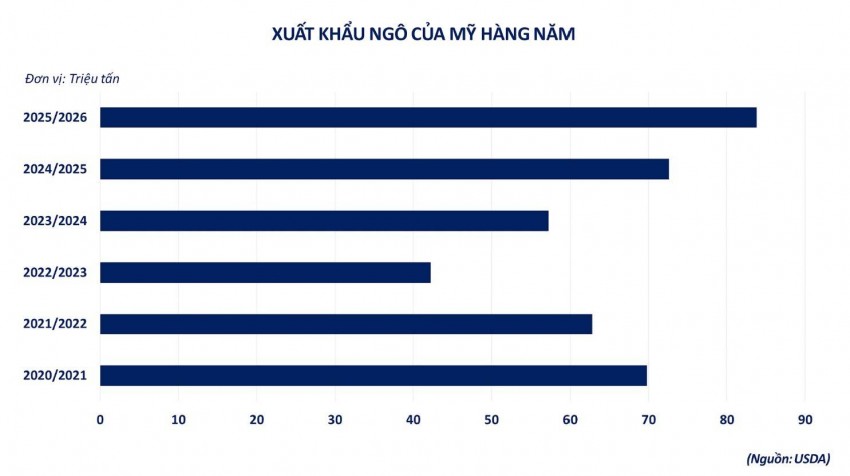 Tác động từ nguồn cung mới: Giá ngô giằng co quanh ngưỡng 190 USD/tấn