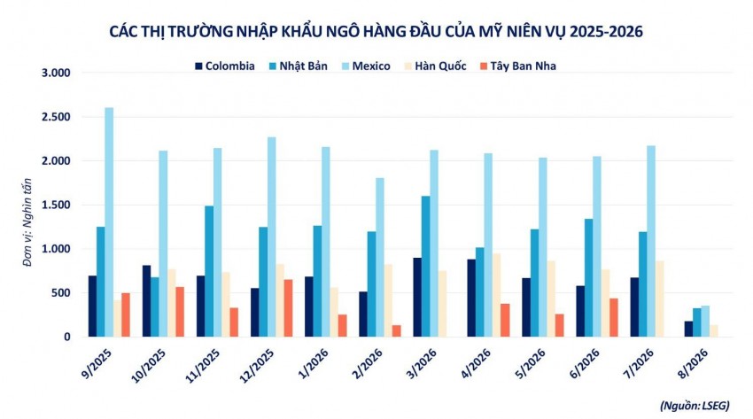 Tác động từ nguồn cung mới: Giá ngô giằng co quanh ngưỡng 190 USD/tấn