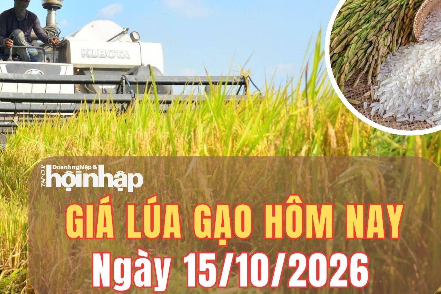 Giá lúa gạo hôm nay 15/10/2026: Giá phụ phẩm tăng, giá lúa tươi chững