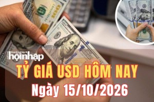 Tỷ giá USD hôm nay 15/10 /2026: Đồng USD đảo chiều tăng mạnh