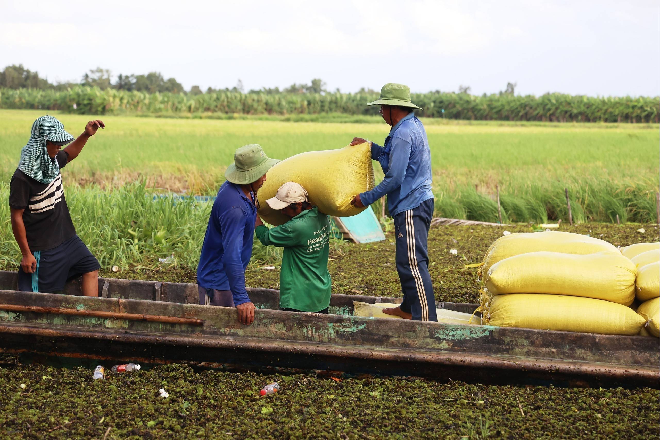 ASEAN thúc đẩy nông nghiệp bền vững, thu hẹp khoảng cách an ninh lương thực