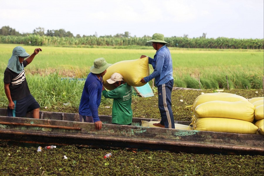 ASEAN thúc đẩy nông nghiệp bền vững, thu hẹp khoảng cách an ninh lương thực
