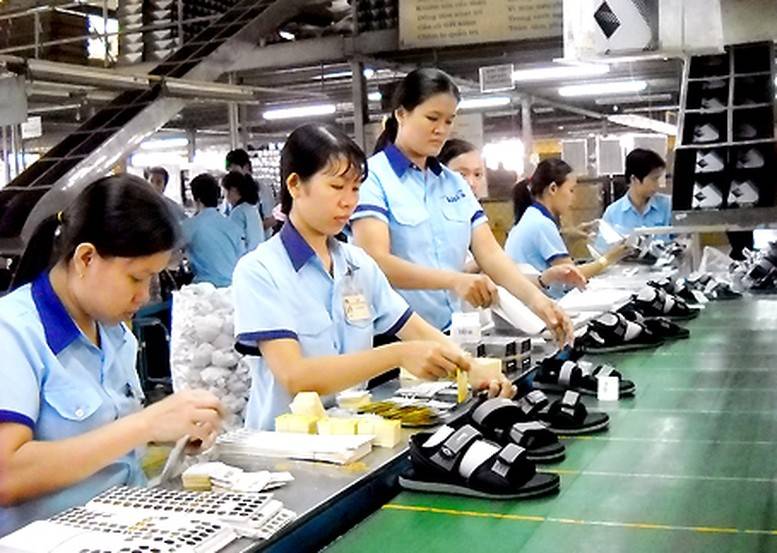 Khi nhà nhập khẩu ngày càng chú trọng xuất xứ, tính minh bạch và trách nhiệm trong sản xuất, năng lực chứng minh sản phẩm được làm từ đâu, bằng nguyên liệu nào và theo quy trình nào đang trở thành lợi thế cạnh tranh quan trọng.
