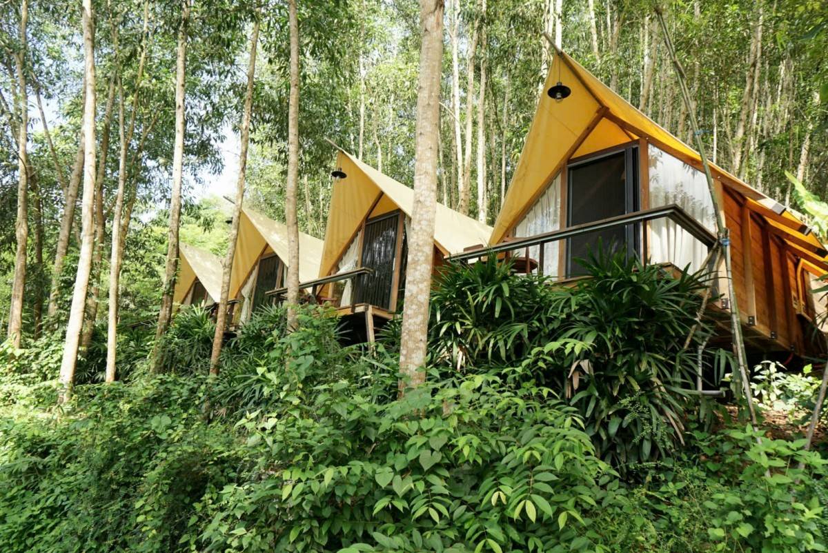 Du lịch Làng Nhỏ giữ màu xanh rừng hồ, hướng đến Net Zero