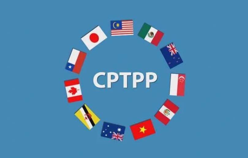 Hàng hóa tân trang chỉ được nhập khẩu vào Việt Nam khi có giấy phép của bộ quản lý chuyên ngành