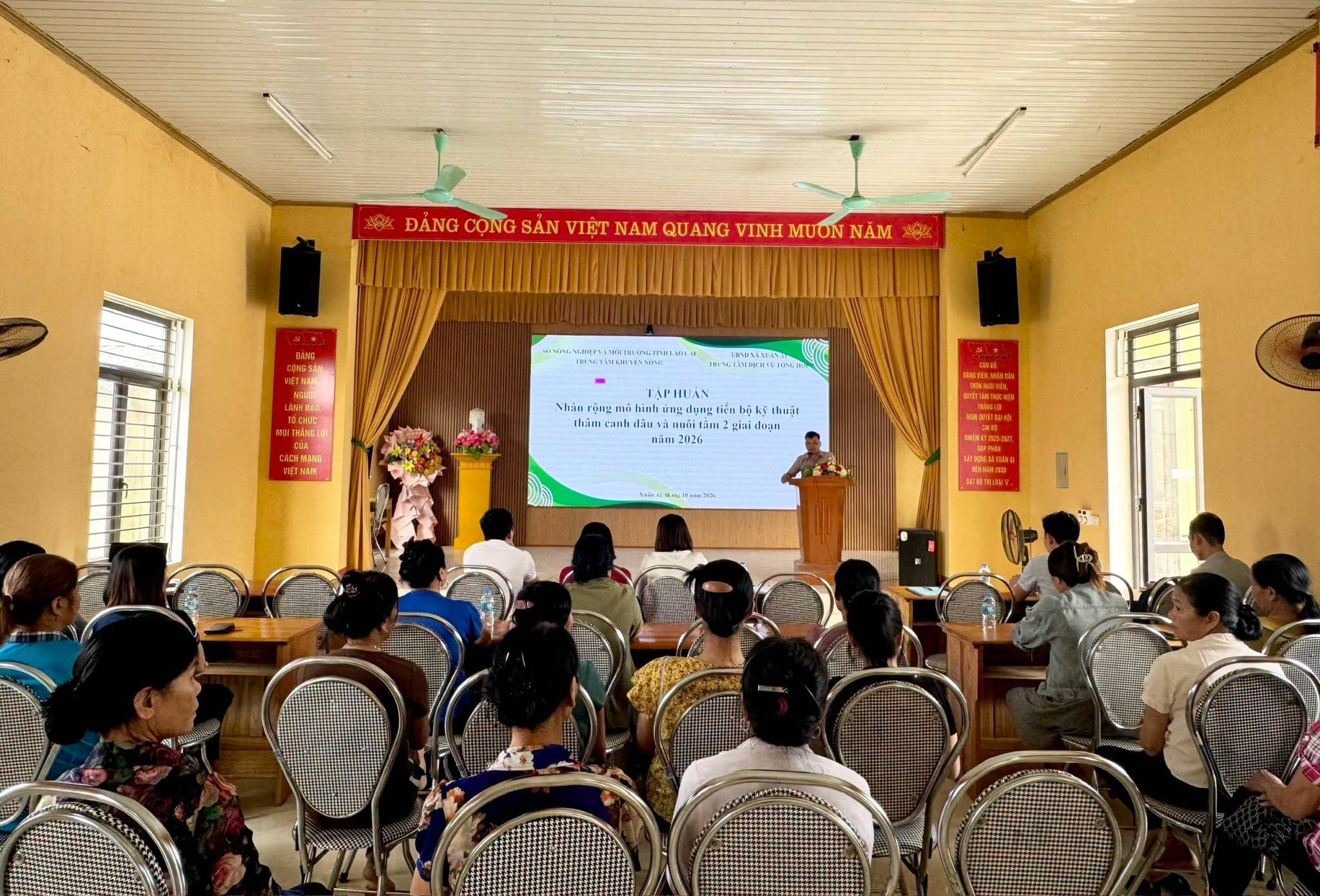 Quang cảnh