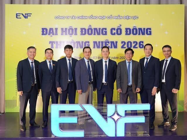Danh tính nhóm cổ đông sẽ rót hơn 1.100 tỷ đồng để nắm 10% của Điện lực EVF