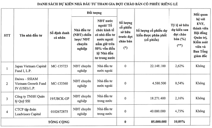 Danh tính nhóm cổ đông sẽ rót hơn 1.100 tỷ đồng để nắm 10% của Điện lực EVF