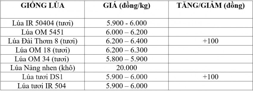 Bảng giá lúa hôm nay 16/10/2026