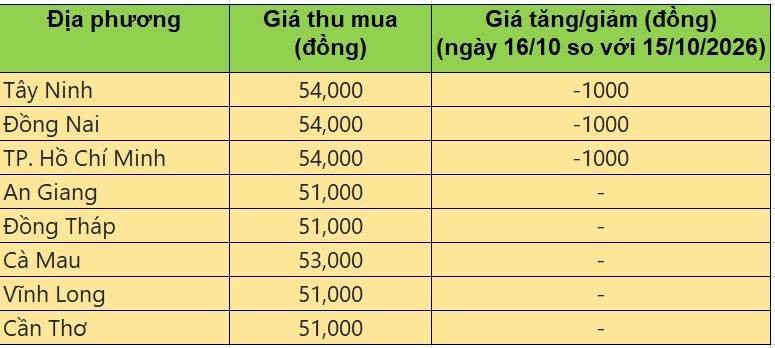 Bảng giá heo hơi tại miền Nam hôm nay 16/10/2026