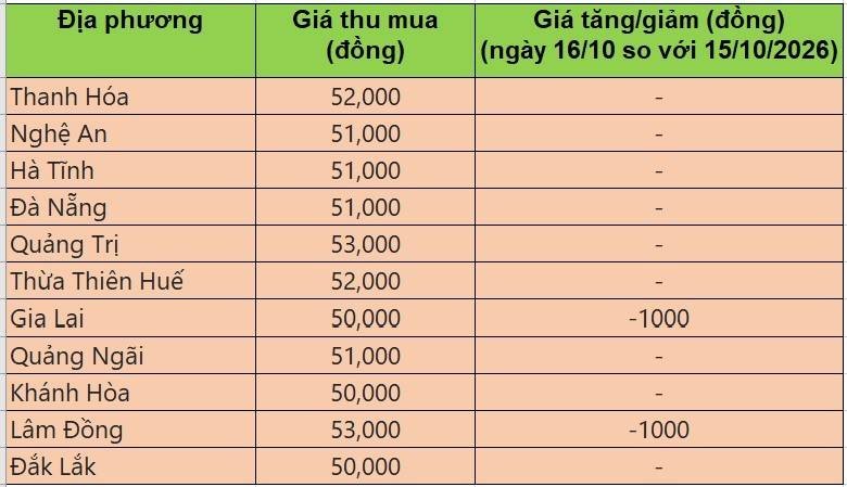 Bảng giá heo hơi tại miền Trung - Tây Nguyên hôm nay 16/10/2026