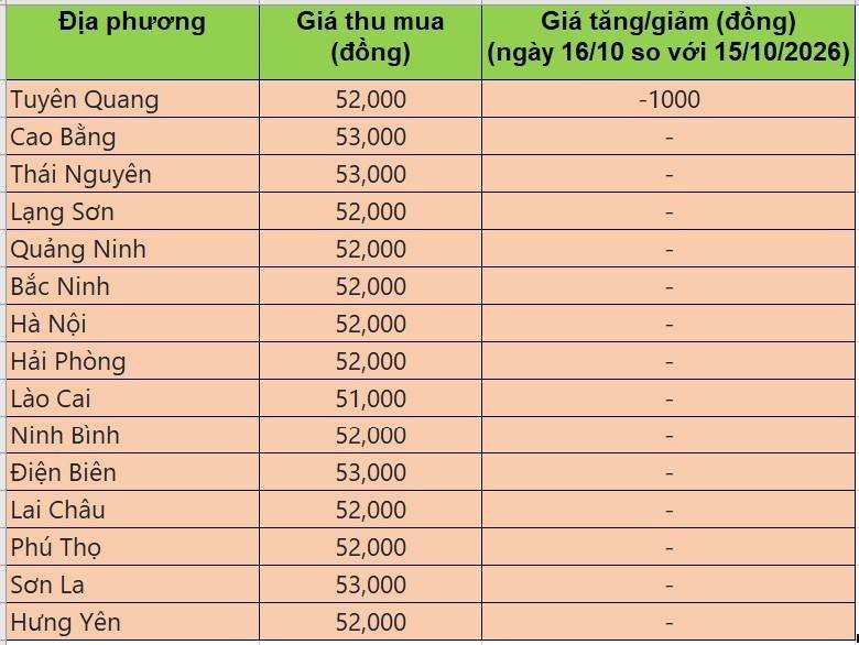 Bảng giá heo hơi tại miền Bắc hôm nay 16/10/2026