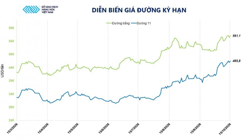 Biến động giá đường toàn cầu: Áp lực kép đẩy nhịp tăng sát đỉnh một năm
