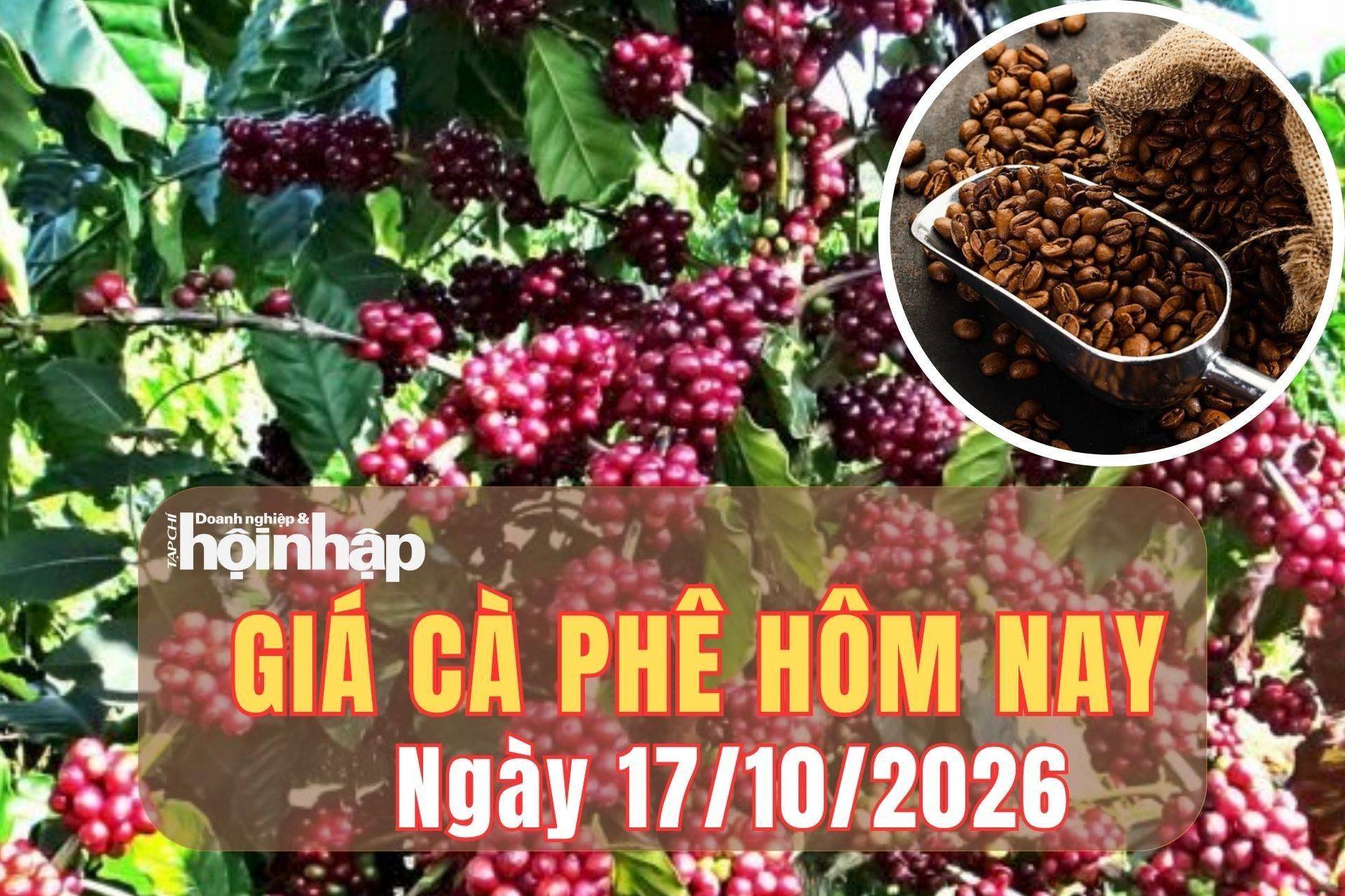 Giá cà phê hôm nay 17/10/2026: Giá cà phê Tây Nguyên giảm sâu, robusta và arabica đồng loạt tăng