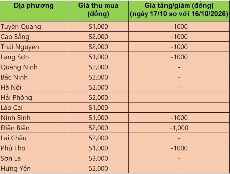 Bảng giá heo hơi tại miền Bắc hôm nay 17/10/2026