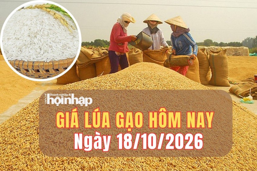Giá lúa gạo hôm nay 18/10/2026: Giá lúa tăng, gạo nguyên liệu giảm nhẹ