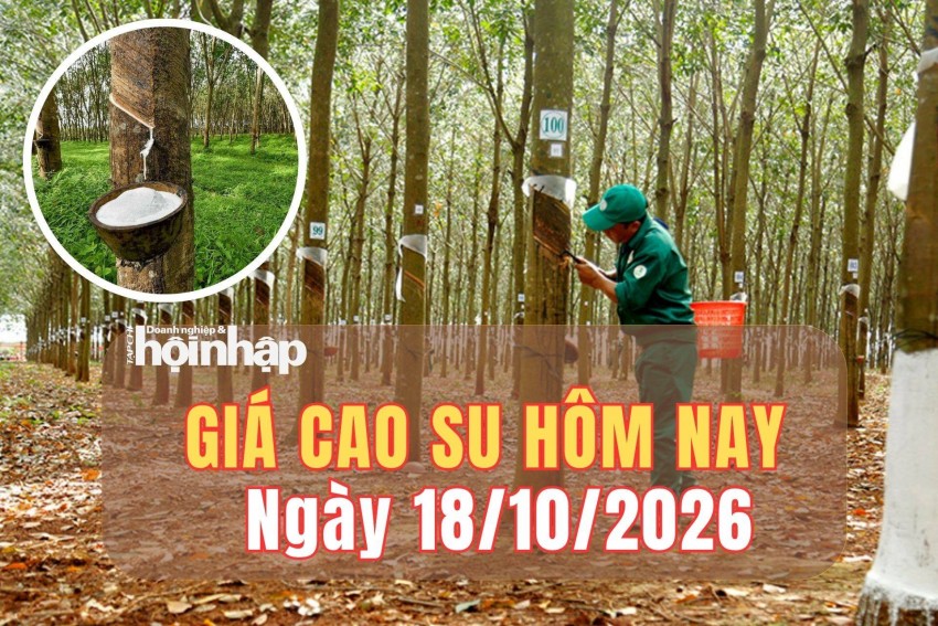Giá cao su hôm nay 18/10/2026: Giá cao su trên sàn SHFE giảm