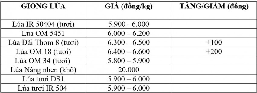 Bảng giá lúa hôm nay 18/10/2026