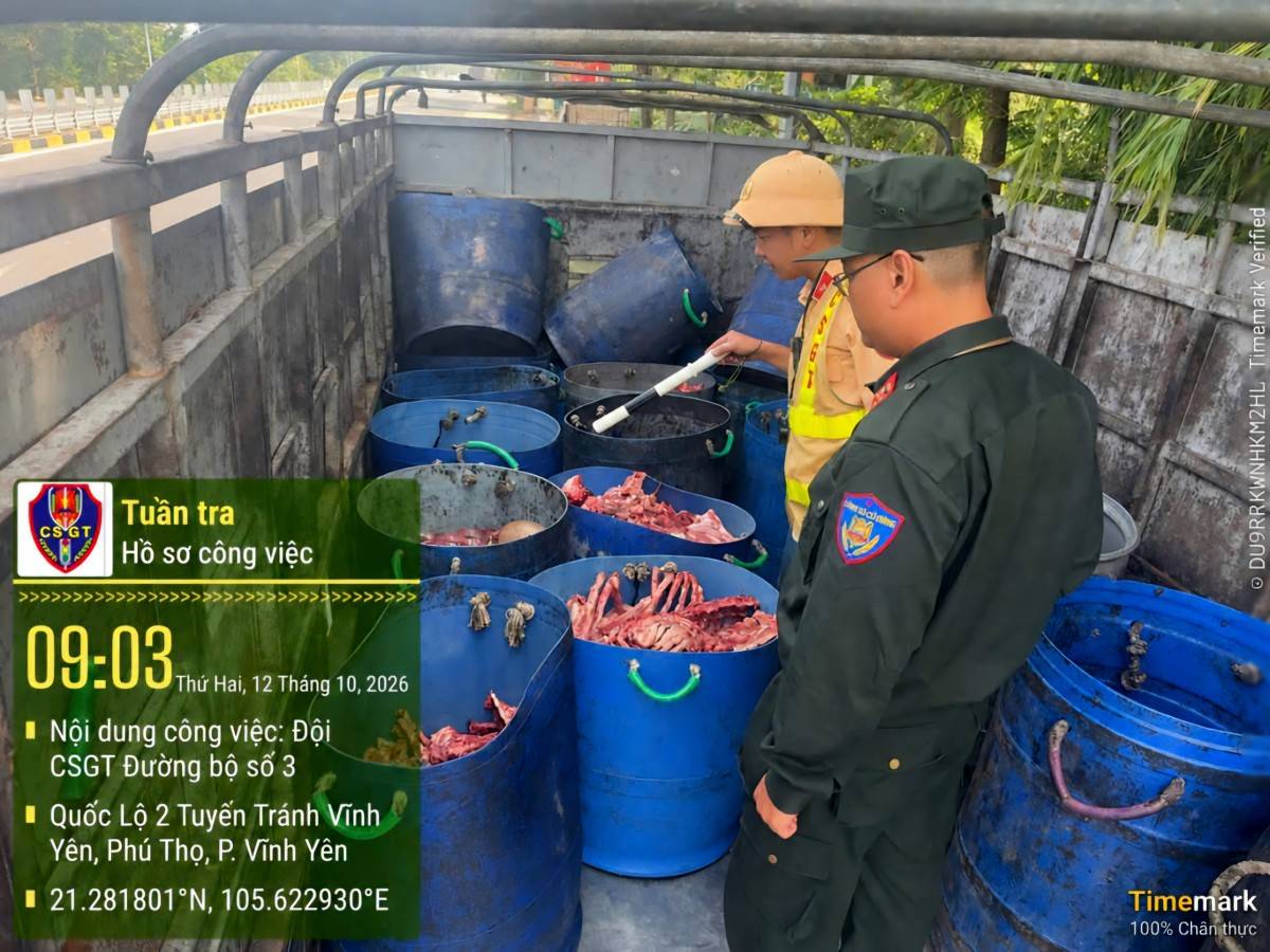 Phú Thọ phát hiện xe tải chở 250 kg xương, nội tạng không rõ nguồn gốc