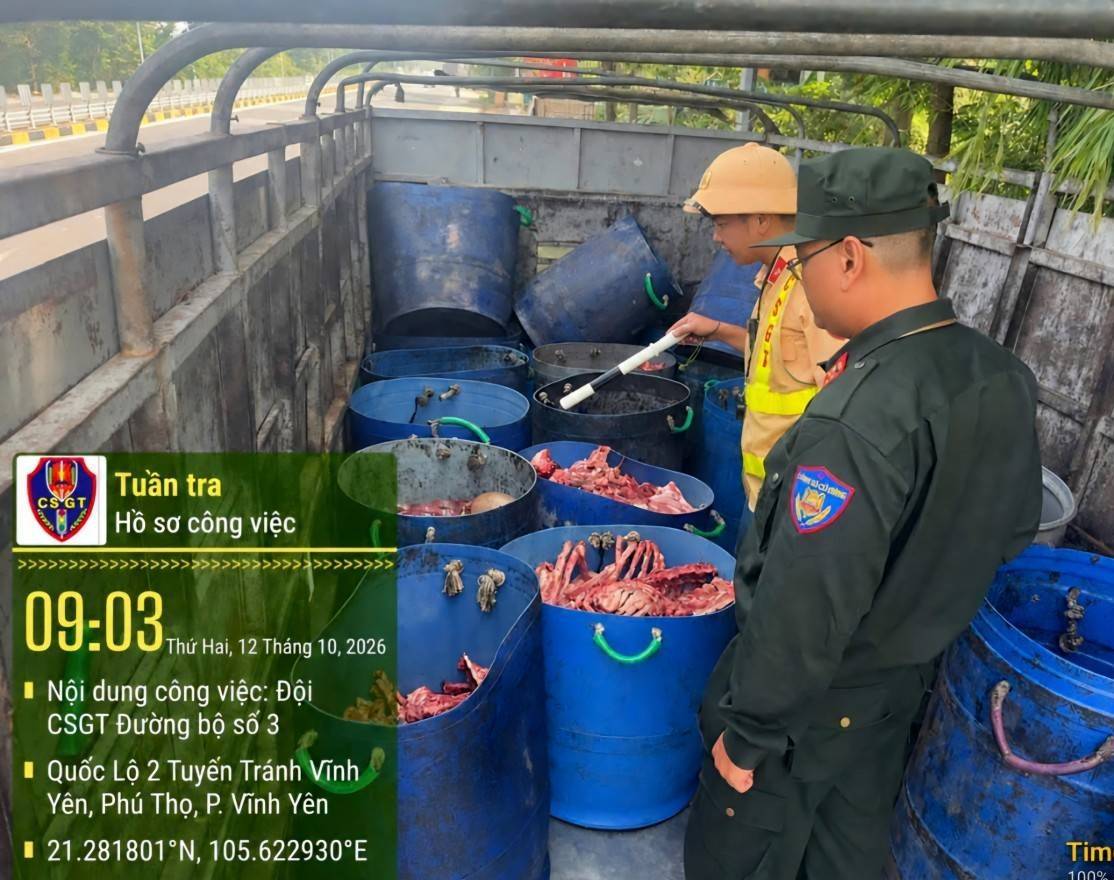 Phú Thọ phát hiện xe tải chở 250 kg xương, nội tạng không rõ nguồn gốc