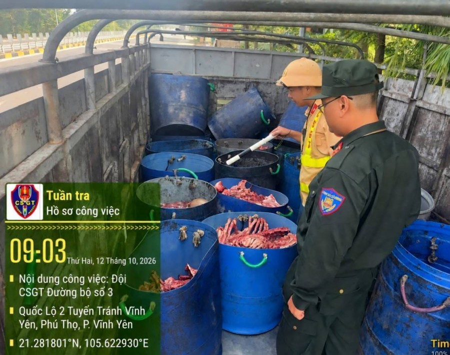 Phú Thọ phát hiện xe tải chở 250 kg xương, nội tạng không rõ nguồn gốc