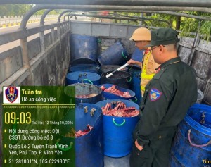 Phú Thọ phát hiện xe tải chở 250 kg xương, nội tạng không rõ nguồn gốc