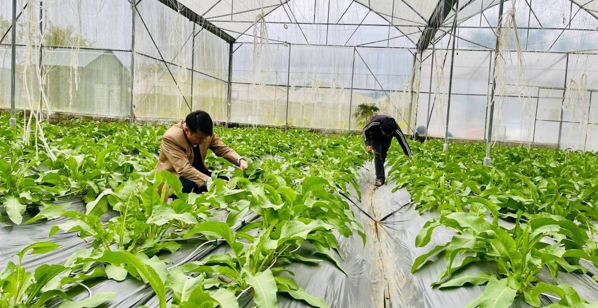 Lai Châu giải ngân hơn 17 tỷ đồng phát triển vùng dân tộc thiểu số