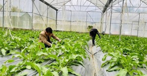 Lai Châu giải ngân hơn 17 tỷ đồng phát triển vùng dân tộc thiểu số