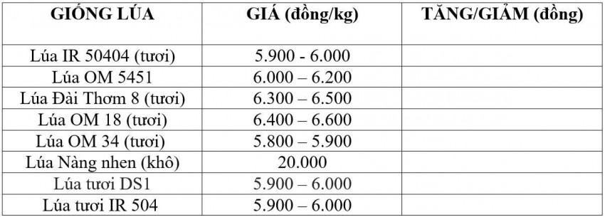 Bảng giá lúa hôm nay 19/10/2026