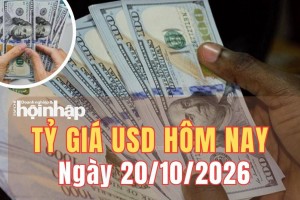 Tỷ giá USD hôm nay 20/10/2026: Đồng USD thế giới tăng nhẹ