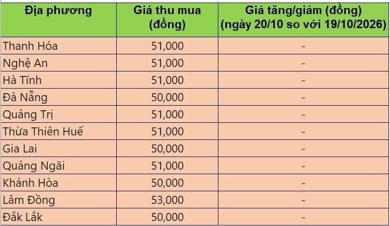 giá heo hơi