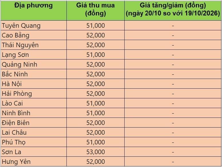 giá heo hơi