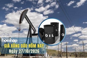 Giá xăng dầu hôm nay 27/10/2026: Giá dầu thế giới giảm nhẹ nhờ ngoại giao Trung Đông