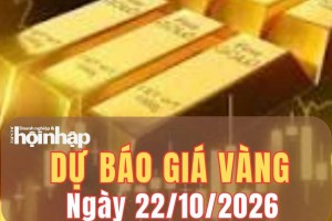 Dự báo giá vàng ngày mai 22/10/2026: Vàng thế giới suy yếu, SJC khó đảo chiều tăng