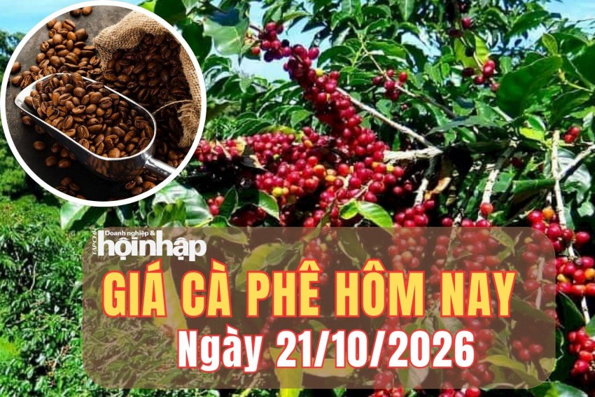 Giá cà phê hôm nay 21/10/2026: Giá cà phê Tây Nguyên tăng gần 1.000 đồng/kg, thế giới quay đầu giảm - Tạp chí Doanh nghiệp và Hội nhập