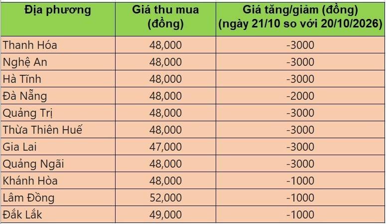 giá heo hơi