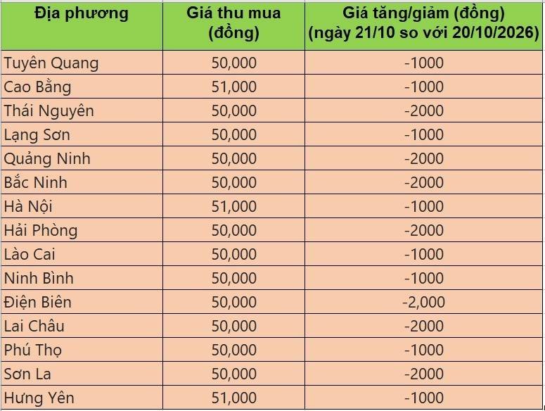 giá heo hơi