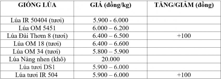 giá lúa gạo