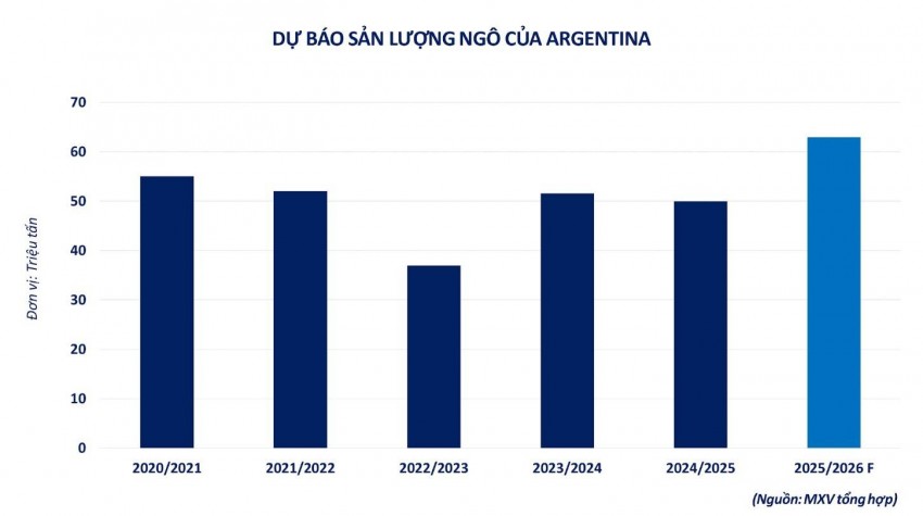 Giá ngô thế giới giảm sâu do áp lực nguồn cung
