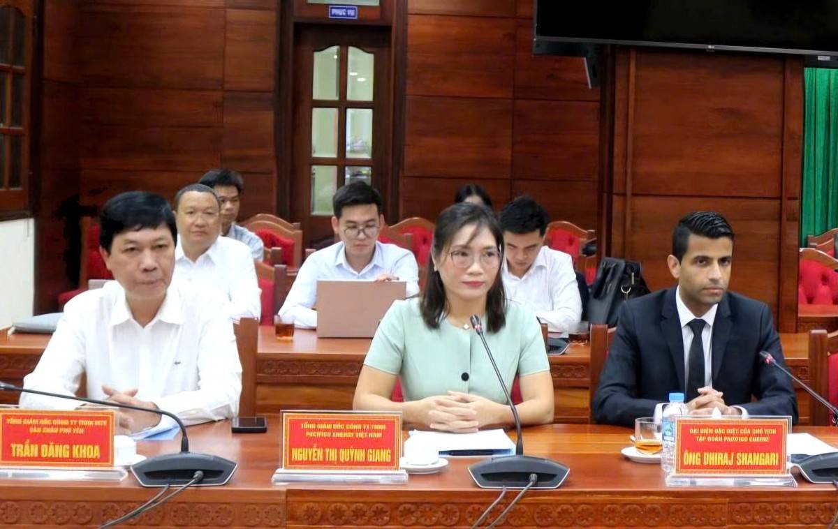 Đại diện Công ty TNHH Pacifico Energy Việt Nam và các nhà đầu tư tại buổi làm việc.