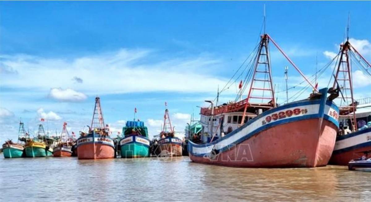 Các tàu khai thác thủy neo đậu tại Cảng cá Gành Hào (tỉnh Cà Mau). Ảnh: TTXVN phát