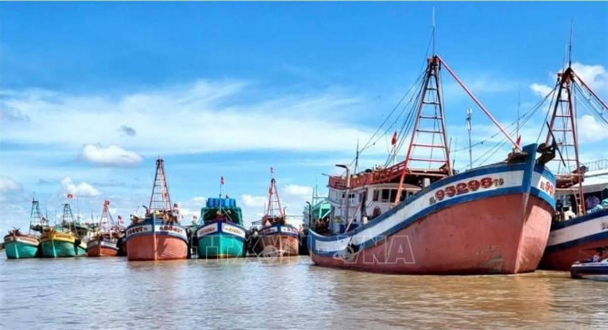 Cà Mau để 5.107 vụ tàu cá hết thời hiệu xử phạt, nguy cơ thất thu 127 tỷ đồng